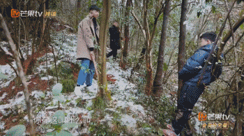 人怂话又多，连猪都嫌弃他，却坐稳未来娱乐圈顶流？