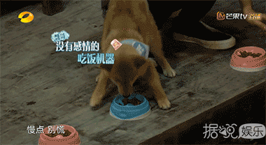 他这也太膨胀了吧