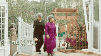 冲着黄渤去笑的，结果哭着回来了