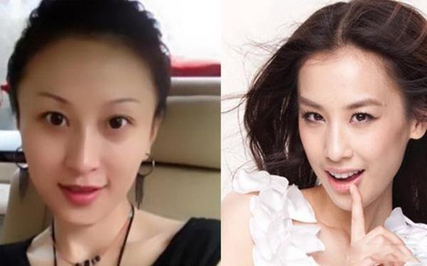 杨子老婆是谁 陶虹与黄圣依谁才是真正的杨夫人 杨子老婆是谁 陶虹与黄圣依谁才是真正的杨夫人
